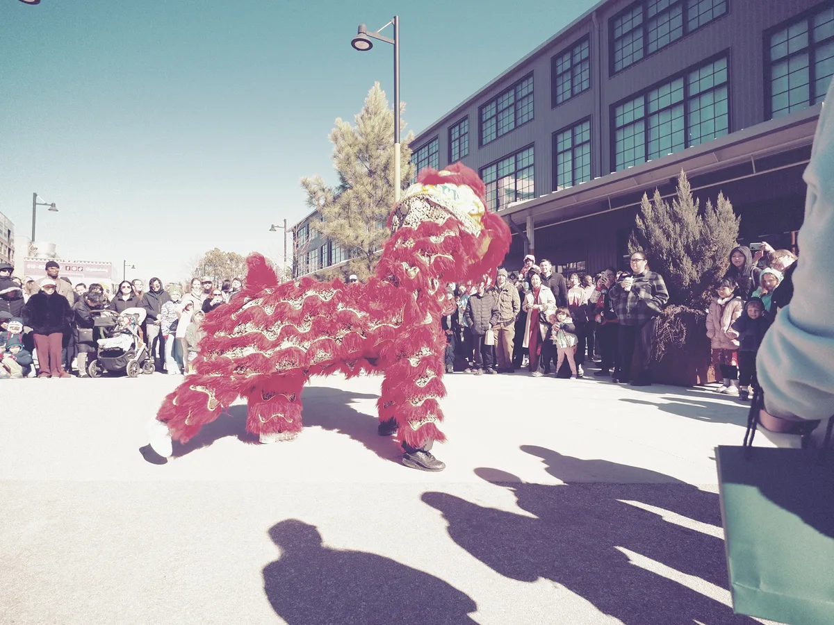 Lunar New Year photograph 6